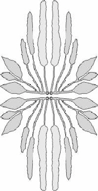 LVA - stern LVA - stern